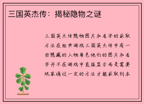 三国英杰传：揭秘隐物之谜